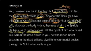 The Spirit In You Is Life: Romans 8:10–11