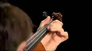 ViolinMasterclass.com  Brahms Violin Concerto 1st movement