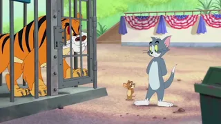 Tom & Jerry | TigerChase | comedy