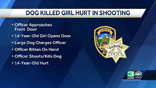 Teen injured after officer fatally shoots dog outside Auburn home