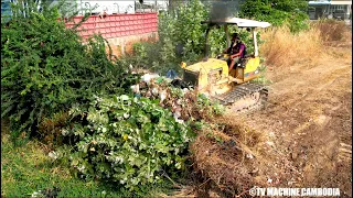 FULL Processing Clearing Forest Land Size 20 x 40M Using KOMATSU DOZER D20P Remove Forest & Trash