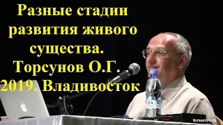 Разные стадии развития живого существа.Торсунов О.Г.2019 Владивосток