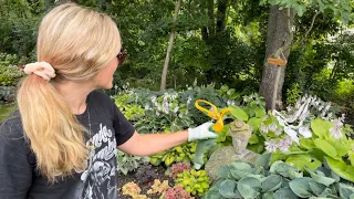 Garden Clean Up: A Walk Around the Yard Cutting Back Hosta Blooms and Chatting