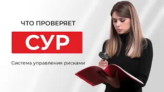 Что проверяет система управления рисками?