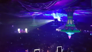 Paradise Winter Festival 2019 - OxiDaksi Intro