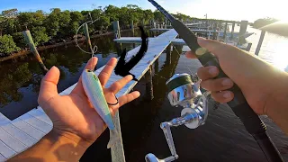 GROUPER Fishing Under Docks with SWIMBAITS