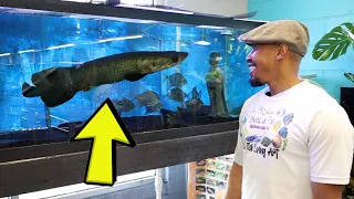 This Aquarium Store Is AMAZING!! Skoolz Of Fish Store Tour