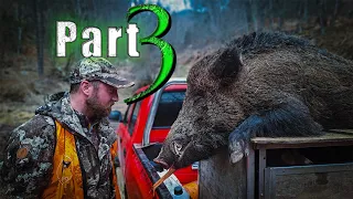 End of hunting season EPISODE 3. / Wild boar hunting 2023-24