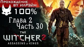 The Witcher 2: Assassins of Kings - Глава 2, Часть 30: Теория заговора