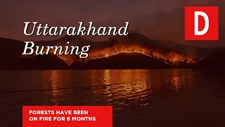 Uttarakhand : Forests have been on fire for 6 months