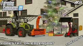 Cleaning SNOW and putting CHRISTMAS TREE | Forestry on ERLENGRAT | Farming Simulator 22 | Episode 11