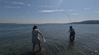 Fly fishing Vashon Island, WA For Sea Run Cutthroat and Coho salmon