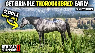 Get Rare Brindle Thoroughbred Early | Red dead redemption 2 |