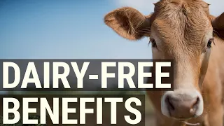 The 7 Best Benefits of Going Dairy Free - Better Health, Better You