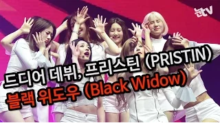 [눈TV]PRISTIN(프리스틴) - Black Widow(블랙 위도우) 쇼케이스 무대 (20170323, 한전아트센터)
