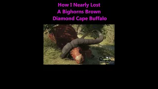 How I Nearly Lost A Bighorns Diamond Cape Buffalo!!! #shorts