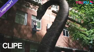 👁 👁 A cena de traição enraiveceu a moça! | COBRA GIGANTE INVADE ESCOLA DE MENINAS | YOUKU