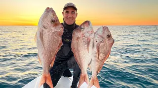 Best Day Ever Spearfishing Queensland Snapper