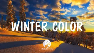 Winter Color - Indie/Pop/Folk Compilation | December 2020