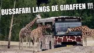 BUSSAFARI BEEKSE BERGEN DEEL II