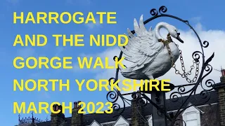 Harrogate to Knaresborough | Nidd Gorge Walk | North Yorkshire | March 2023