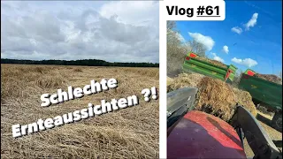 Verwandelt sich die Getreideernte zum Totalausfall ? | Farmvlog #61