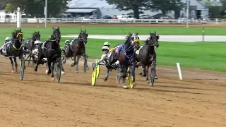 Harness Racing FanZone: Top 10 Moments of 2018