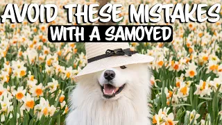 10 Mistakes we made with our Samoyed (Please avoid them!)