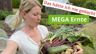 Riesige Ernte im Juli | Gartenarbeit 2022 | Gemüsegarten