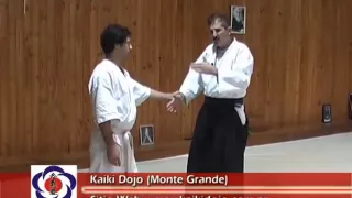 Bloque tecnico de Atemis en Aikido 2ª parte