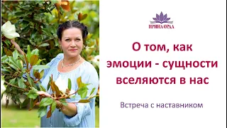 Ирина Орда. О том как эмоции - сущности вселяются в нас.