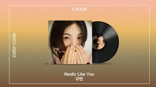 규빈 - Really Like You [1시간 / 반복재생]