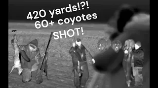 60 Coyotes VS RANCHER: BEST 2023 COYOTE HUNTING MONTAGE