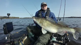 Zanderfishing April with Livescope