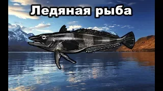 Русская рыбалка 3. Ледяная рыба