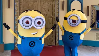 NEW Minions Meet and Greet in Minion Land at Universal Studios Florida