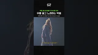 무릎 꿇고 노래하는 박봄..콘서트를 꼭 가야 하는 이유