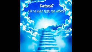 Cvetocek7 - Но ты ушёл туда, где небеса
