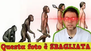 L'uomo NON Discende dalla Scimmia