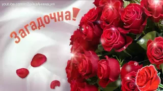 ZOOBE зайка  Всё Это Для Тебя !