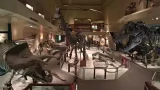 Secrets of the Fossil Hall