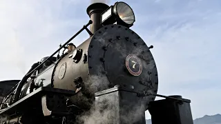 PREVIEW: Steam Trains Galore 8!: NOV 27 2020