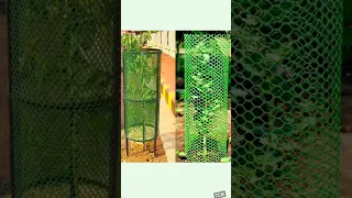 tree guard net under rs.800/-with 1cutter & 50PVC tags#flipkart #viral #ytshorts #shorts #plants