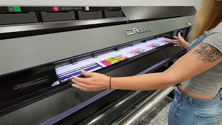 New Roland VG3 640 Vinyl Printer/cutter