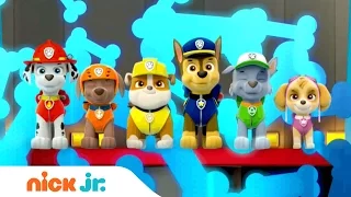 PAW Patrol Italian | Official Theme Song (Music) | Nick Jr.