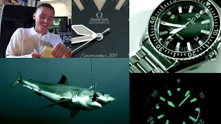 The Best Automatic Dive Watch Omega Ever Made? - Watchco Seamaster 300 Full Review - 166.0324