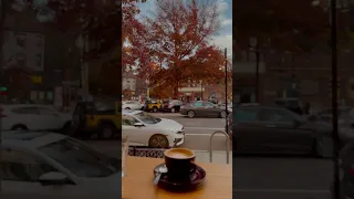 Boston:cozy cafe in fall #coffee #boston #fall #november #asmr #calm #relaxing #latteart