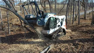 INCREDIBLE BRUSH BEAST! Forestry mulcher clearing thick brush!