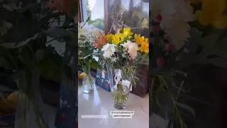 Милота вокруг! Дома закончились вазы 🙈 💐 что вижу, то пою