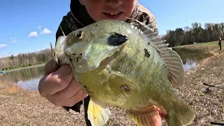 Bluegill Fishing at Grandpa's Pond